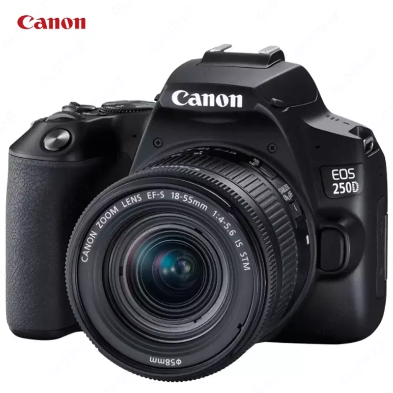 Фотоаппарат Canon EOS 250D Kit 18-55mm STM Wi-Fi