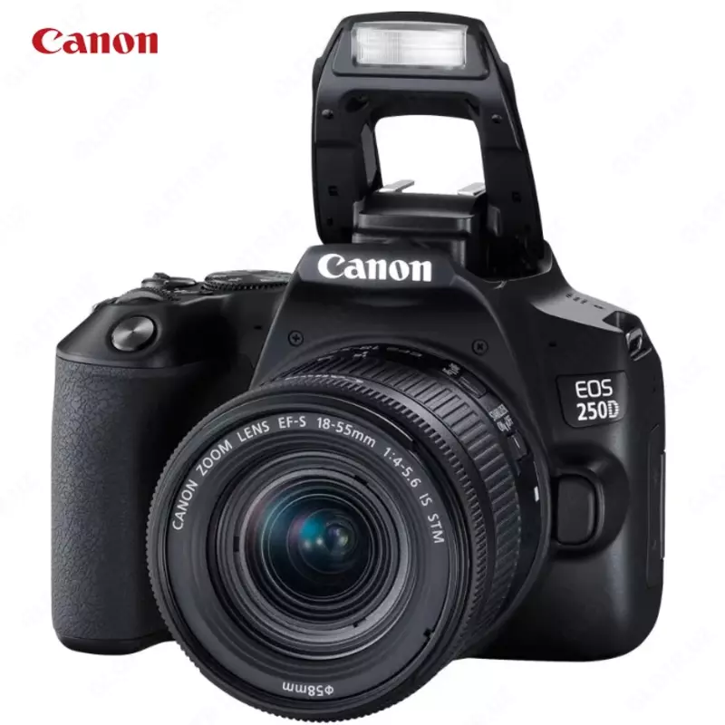 Фотоаппарат Canon EOS 250D Kit 18-55mm STM Wi-Fi