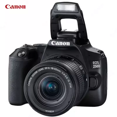 Фотоаппарат Canon EOS 250D Kit 18-55mm Wi-Fi