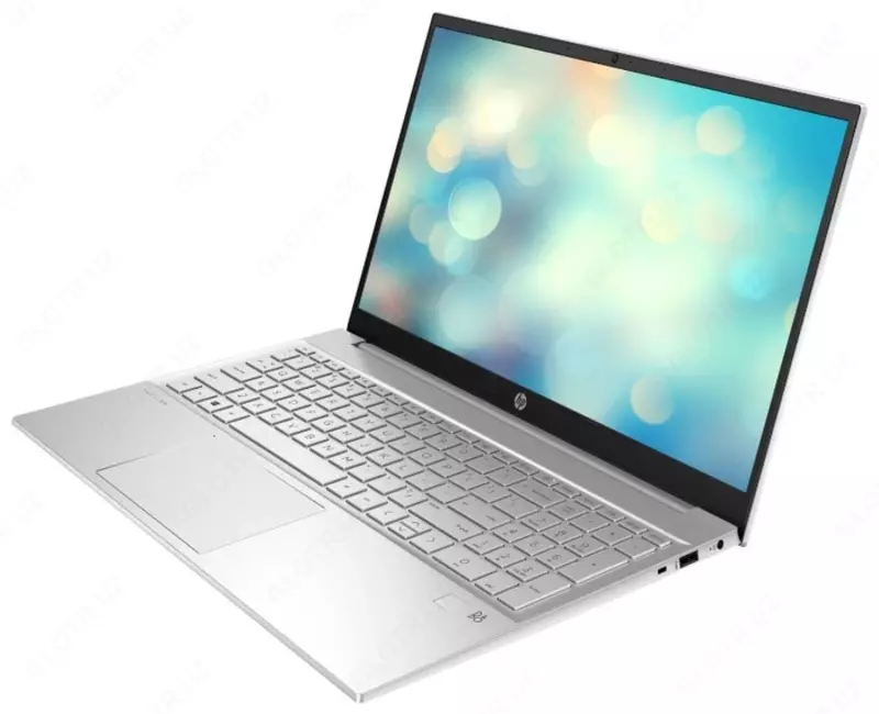 HP Pavilion 15-eg2004ci (045) (Intel Core i7-1255U/ DDR4 16GB/ SSD 512GB/ 15,6" FHD IPS / Intel Iris Xe Graphics/ No DVD/ DOS/ RU) Silver