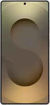 Samsung S25 Ultra 12/256GB Gray