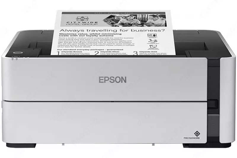 Epson M1170 siyohli printer.