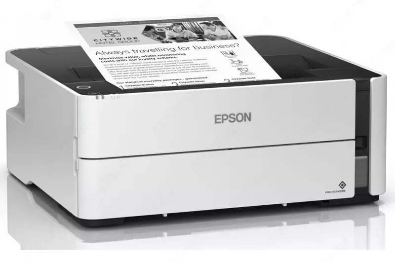 Epson M1170 siyohli printer.