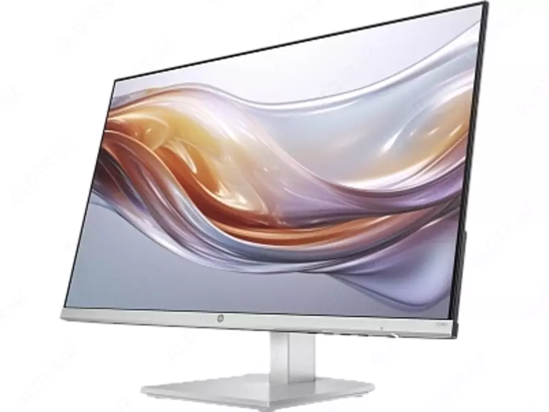 HP 24″ 524SH LED Монитор (IPS, 100 Гц, 5 мс, FHD 1920 × 1080, VGA+HDMI, Silver Black)