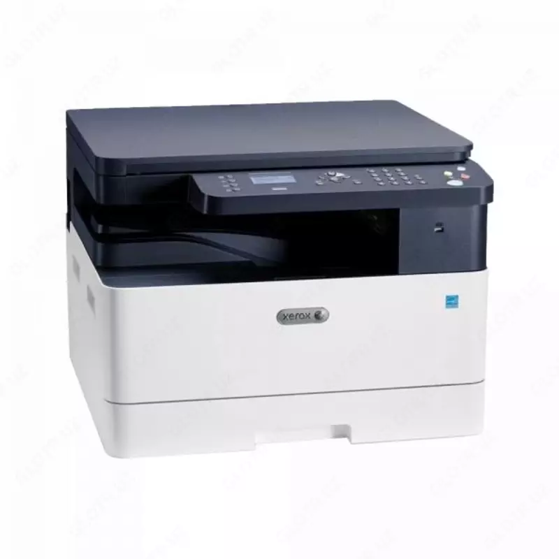 Xerox B1022DN (А3, лазерное МФУ, двусторонний, 22стр/мин, 256Mb, 1200dpi, LCD, сетевой).