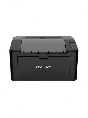 Pantum - P2207 (A4, daqiqasiga 20 bet, 64 Mb, lazerli, USB 2.0, tarmoq, 1200 dpi)