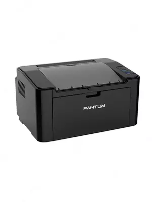 Pantum - P2207 (A4, daqiqasiga 20 bet, 64 Mb, lazerli, USB 2.0, tarmoq, 1200 dpi)