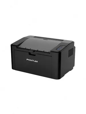 Pantum - P2207 (A4, daqiqasiga 20 bet, 64 Mb, lazerli, USB 2.0, tarmoq, 1200 dpi)