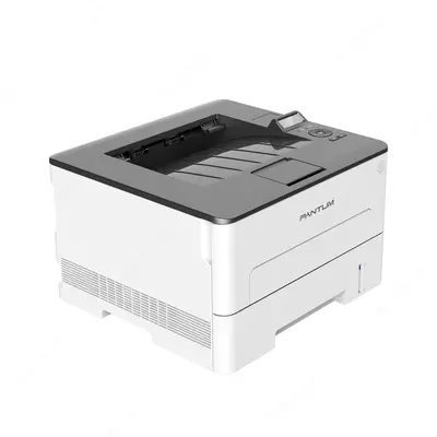 Pantum P3300DW