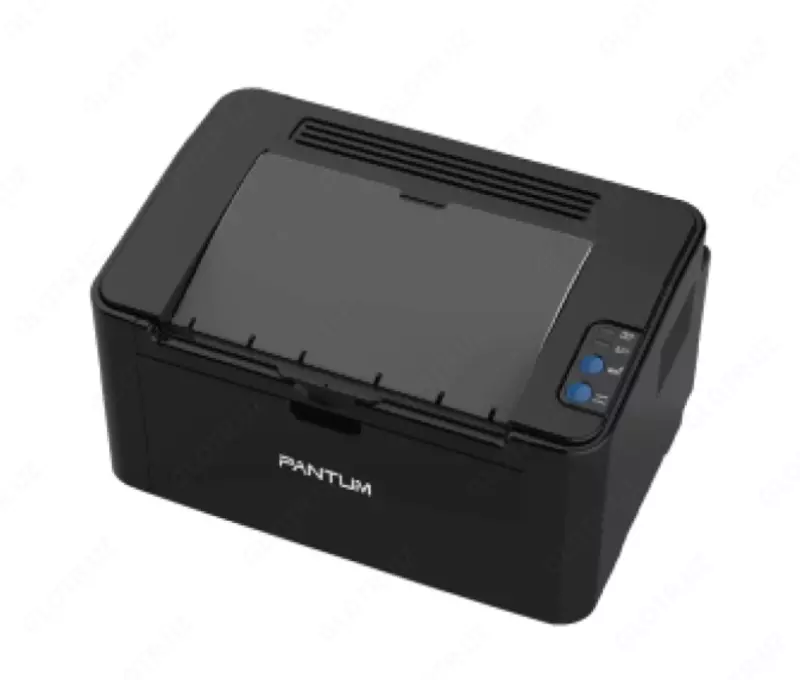Pantum P2503