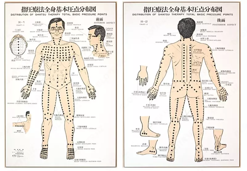 Курсы ШИАЦУ – японского массажа