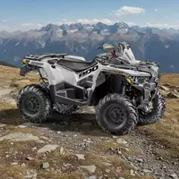   Квадроцикл STELS ГЕПАРД ATV800 (LT) 2.0 K01 Tech «Объект»