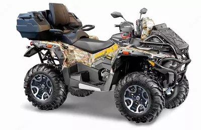 Квадроцикл STELS ГЕПАРД 2.0 ATV800 (PE) K05 EPS GN 2026