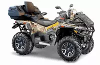 Квадроцикл STELS ГЕПАРД 2.0 ATV800 (PE) K05 EPS GN 2026