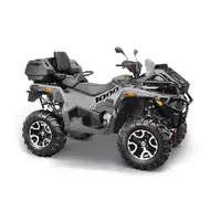   ATV STELS GEPARD 2.0 ATV1000 (PE) K01 LX EPS Expedition
