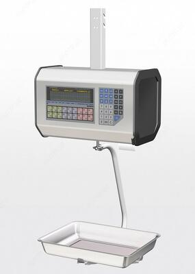 Весы ШТИРХ-ПРИНТ ПВ
