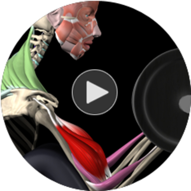 Muscle&Motion — приложение, которое заменит фитнес-тренера