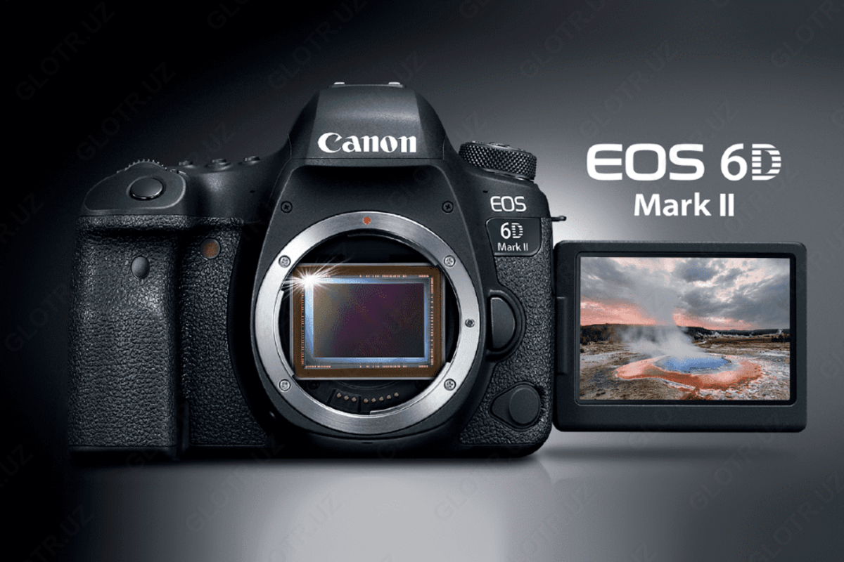 canon eos 6d примеры фотографий