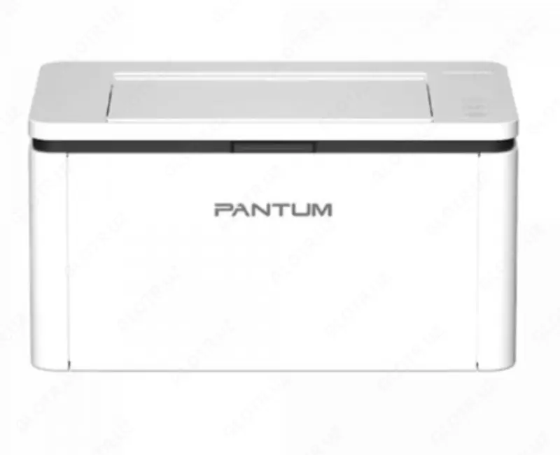 Принтер Pantum BP2300