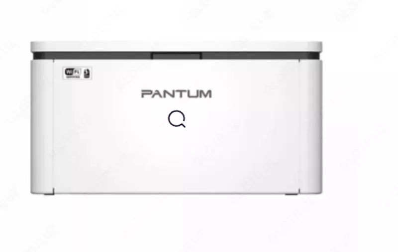 Принтер Pantum BP2300W