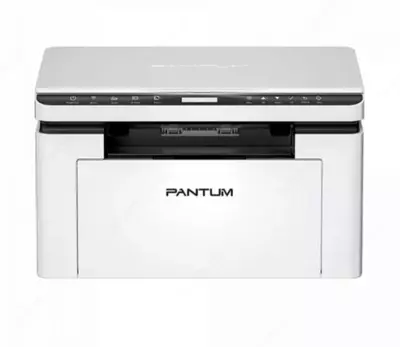 Pantum BM2300W