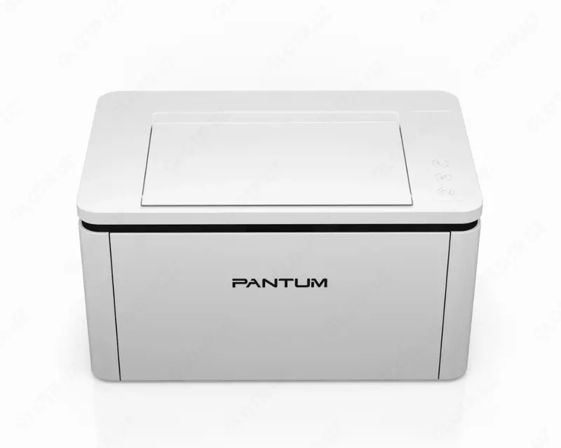 Принтер Pantum BP2300W