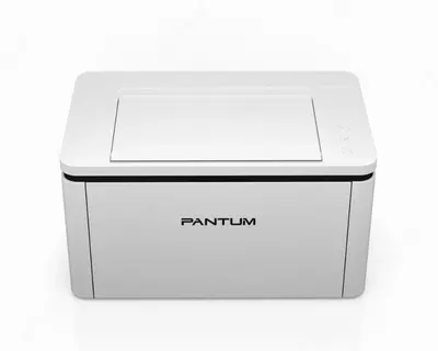 Принтер Pantum BP2300W