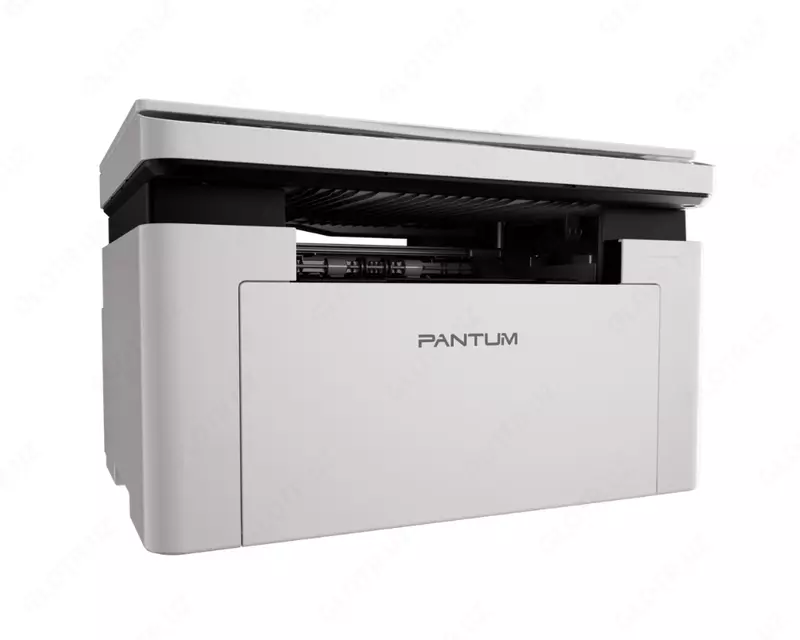  Принтер Pantum BM2300 - 