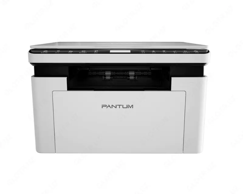 Принтер Pantum BM2300W