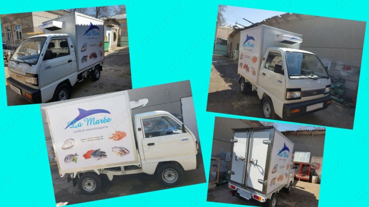 grifon servis