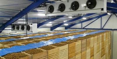 Строительство овощехранилищ