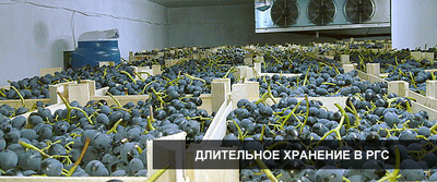 Устройство овощехранилищ с регулируемой газовой средой (РГС) - от 100 000 сум