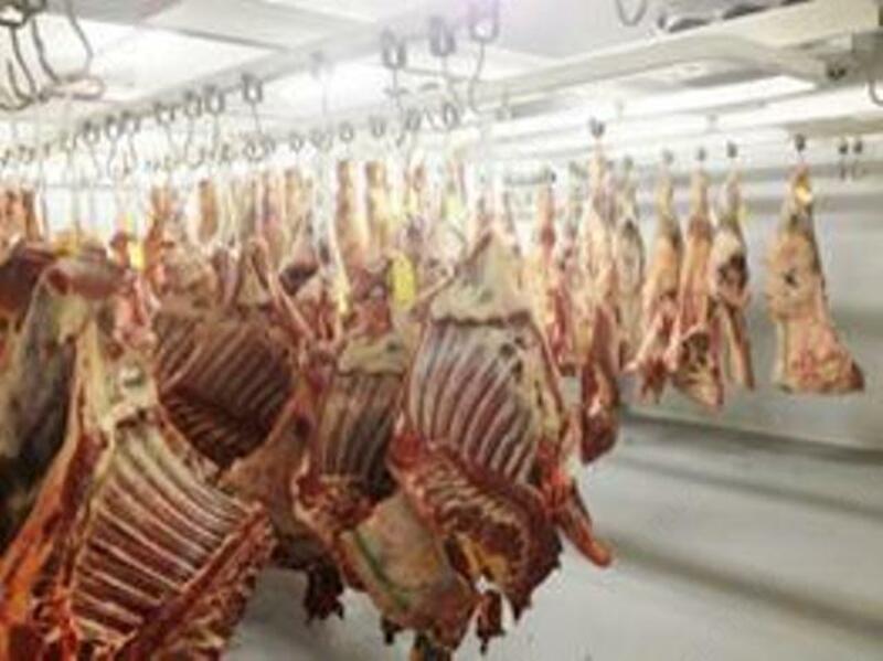 Строительство морозильных камер - от 100 000 сум