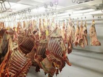 Строительство морозильных камер - от 100 000 сум