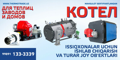 Мембранный расширительный бак WE 100 Оптом и розница