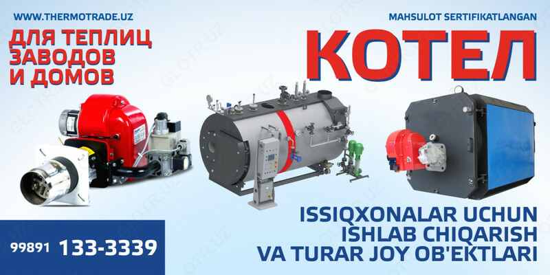 Мембранный расширительный бак WE 100 Оптом и розница