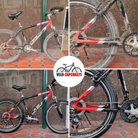 Веломастер