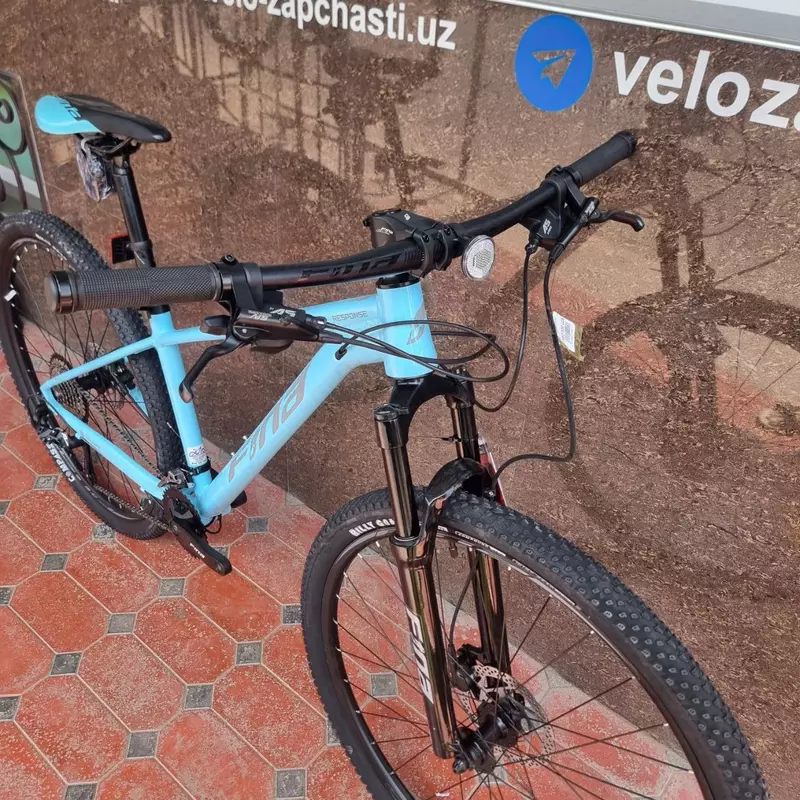 Горный велосипед Fina 29.