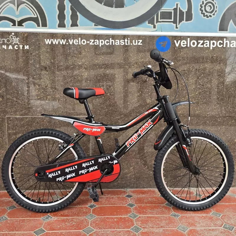 Велосипед PRO MAX 20