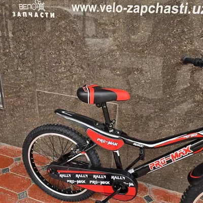 Велосипед PRO MAX 20