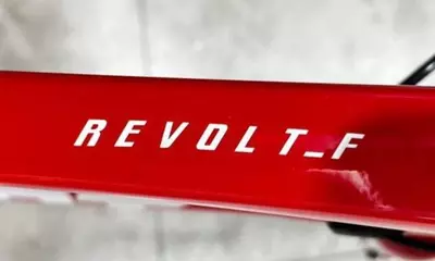 Велосипед Giant Revolt F 2