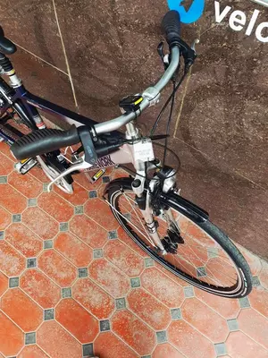 FRAMEWORK 28" nemis velosipedi