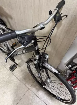 Nemis PEGASUS 28 dyuymli velosipedi