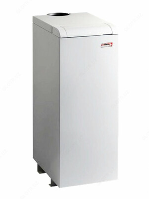 Protherm Напольный котел 40 KWT Медведь KLOM