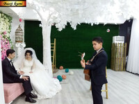 Musiqachi gitarachi xizmatlari