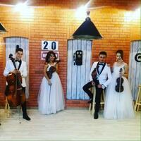 Услуги музыкантов