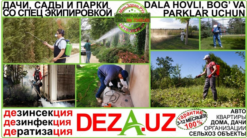 2.Дезинфекция ДОМА-ДАЧИ / DALA-HOVLI в Ташкенте и вилоятах - лицензия + гарантия