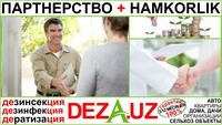   2.Дезинфекция ДОМА-ДАЧИ / DALA-HOVLI в Ташкенте и вилоятах - лицензия + гарантия