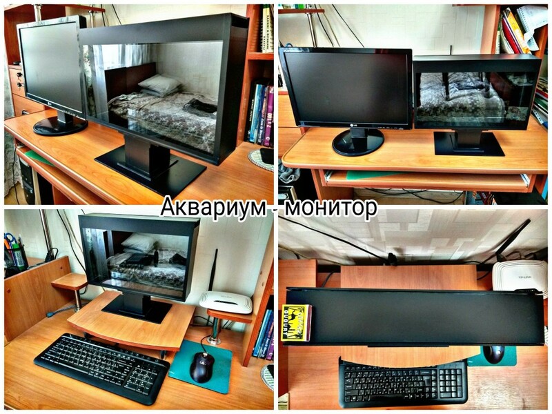 Уникальный аквариум в форме монитора.