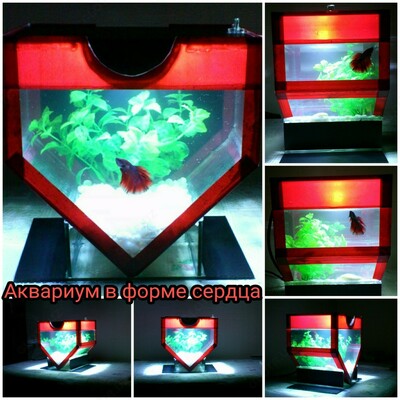 Мини - аквариум в форме сердца.